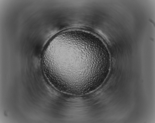 X0000091371260200708241325