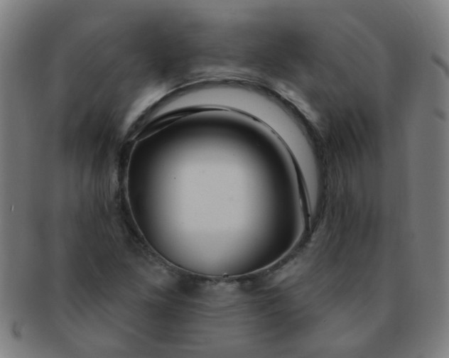 X0000091371261200708241325