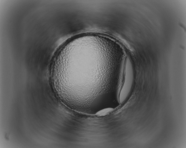 X0000091371264200708241325