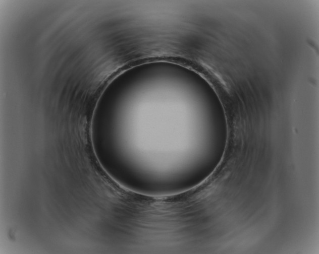 X0000091371265200708241325