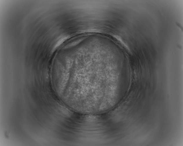 X0000091371266200708241325