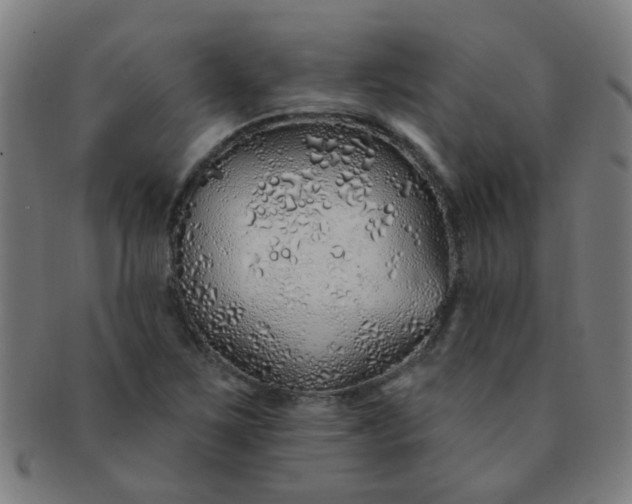 X0000091371267200708241325