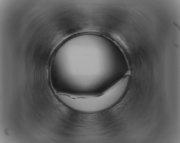 X0000091371268200708241325