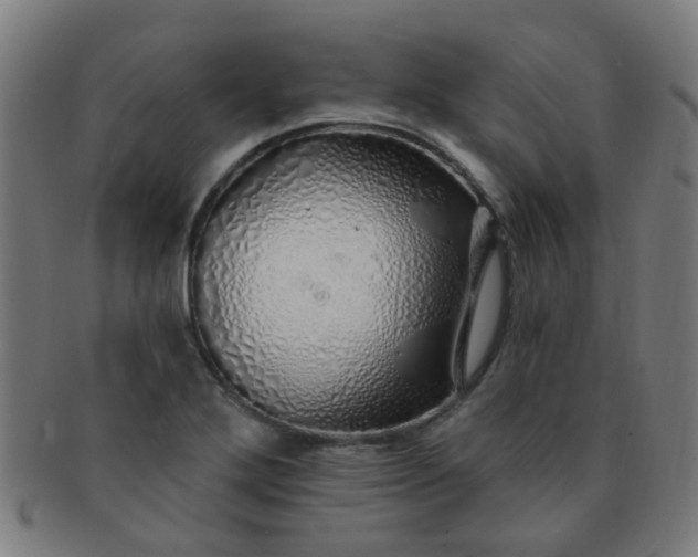 X0000091371272200708241325