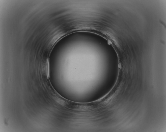 X0000091371273200708241325