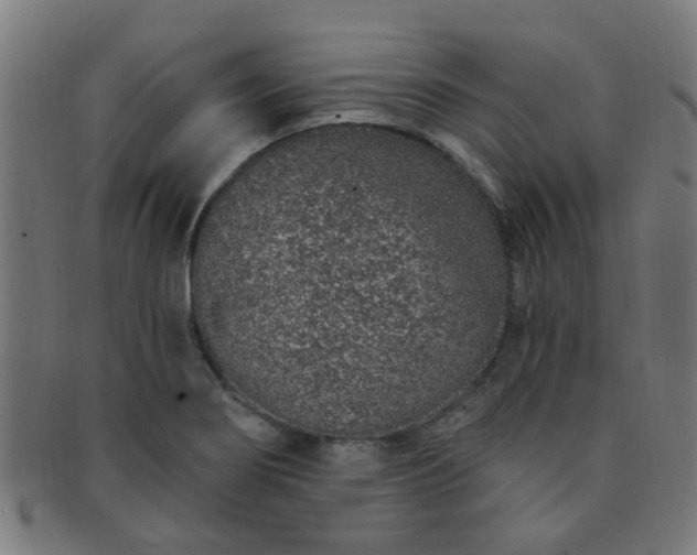 X0000091371274200708241325