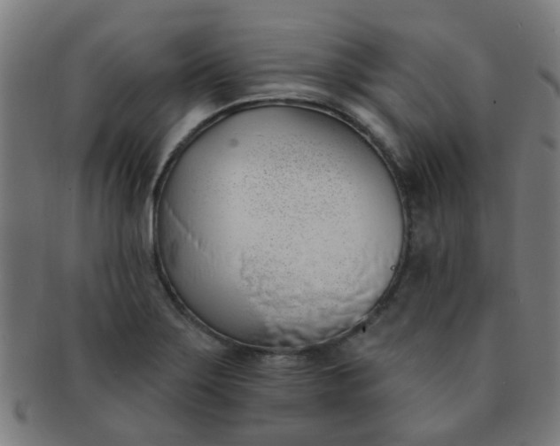 X0000091371275200708241325