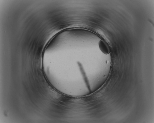 X0000091371276200708241325