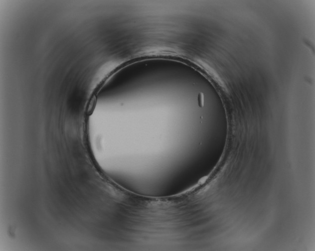 X0000091371277200708241325