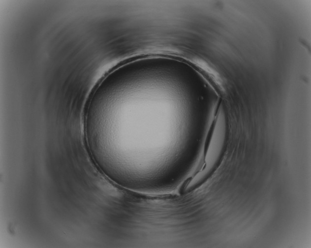 X0000091371280200708241325