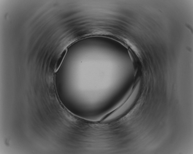 X0000091371281200708241325