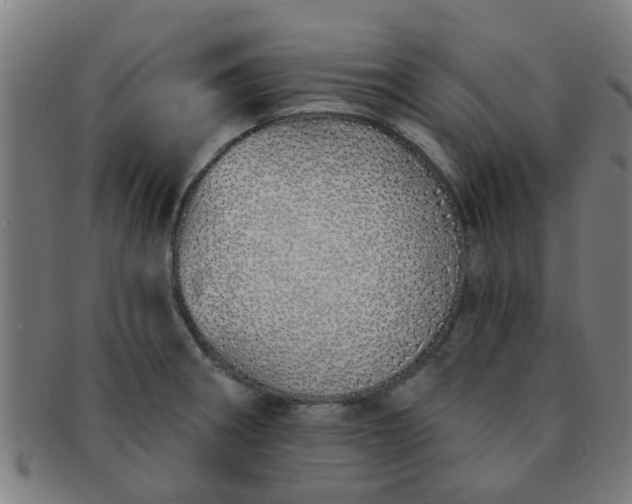 X0000091371282200708241325