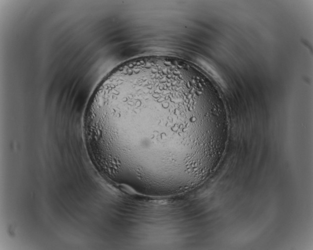 X0000091371283200708241325