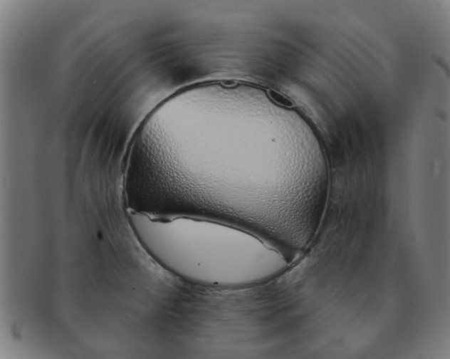 X0000091371284200708241325