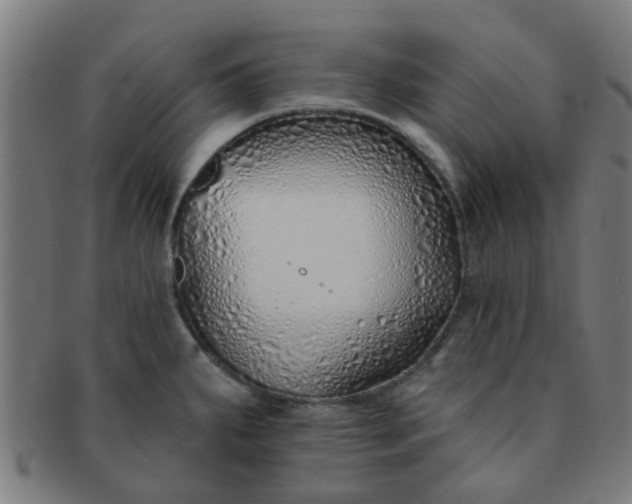 X0000091371287200708241325