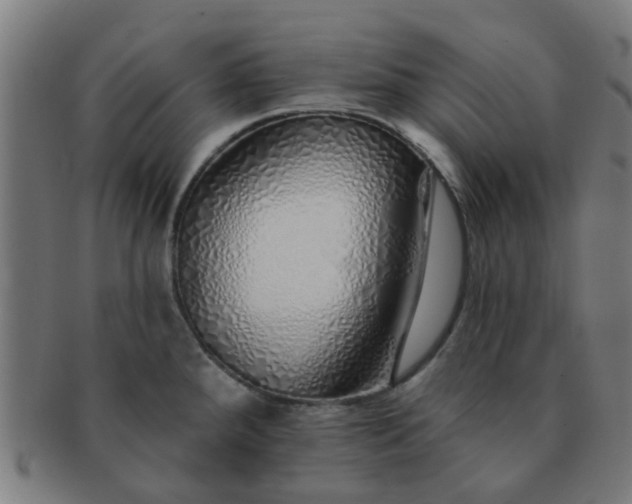 X0000091371288200708241325