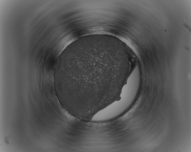 X0000091371289200708241325