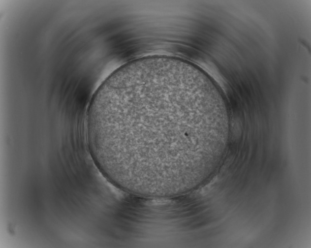 X0000091371290200708241324