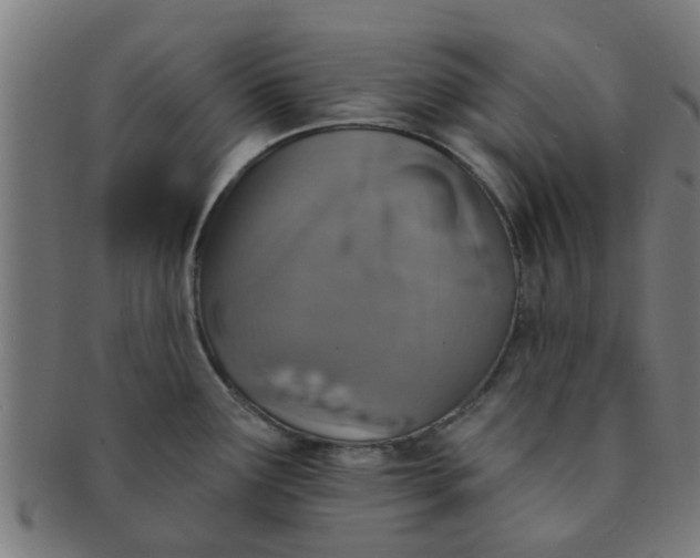 X0000091371291200708241324