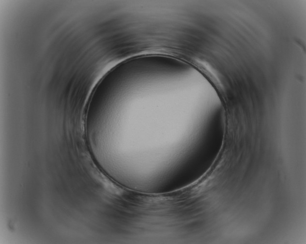 X0000091371292200708241324