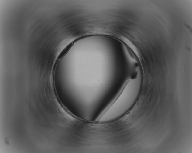 X0000091371293200708241324