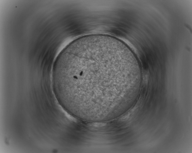 X0000091371294200708241324