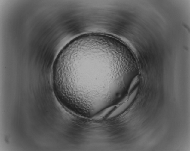 X0000091371295200708241324