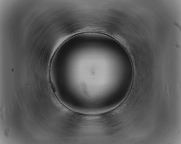 X0000091371296200708241324