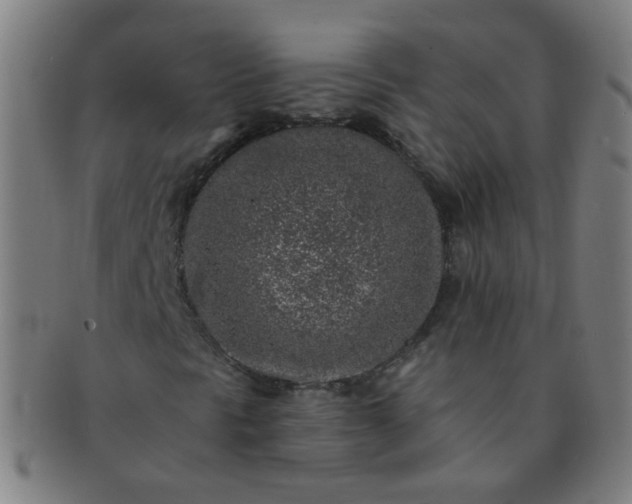 X0000091371297200708241324