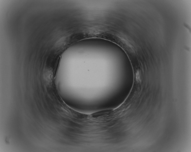 X0000091371299200708241324