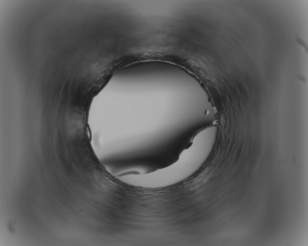 X0000091371300200708241324