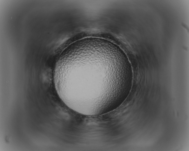 X0000091371301200708241324