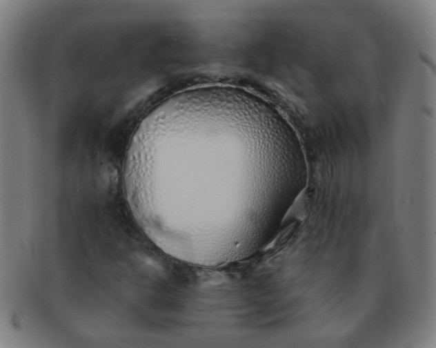 X0000091371302200708241324