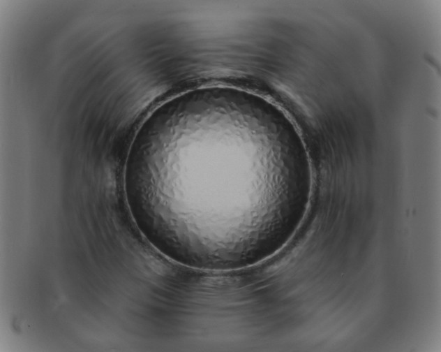 X0000091371305200708241324