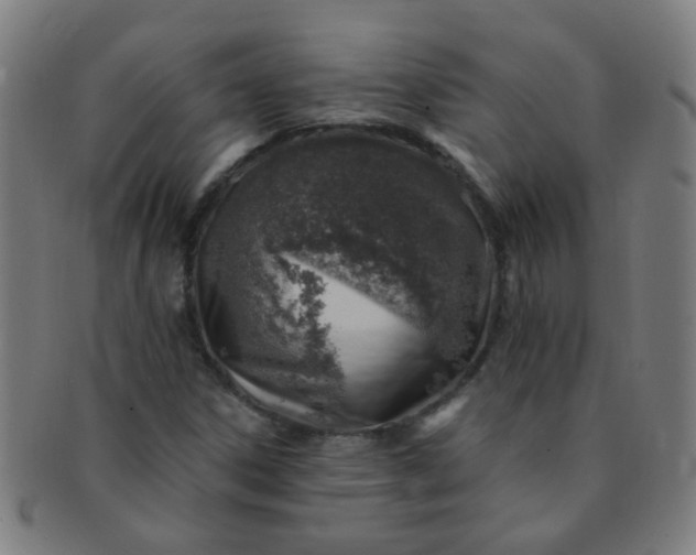 X0000091371306200708241324