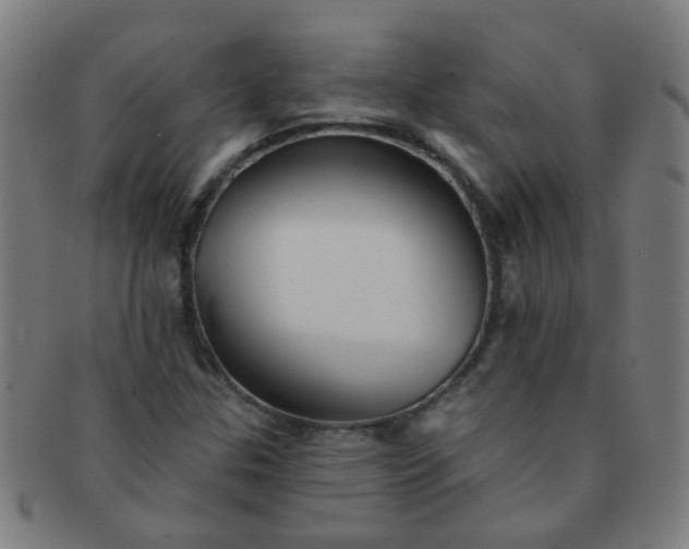 X0000091371307200708241324