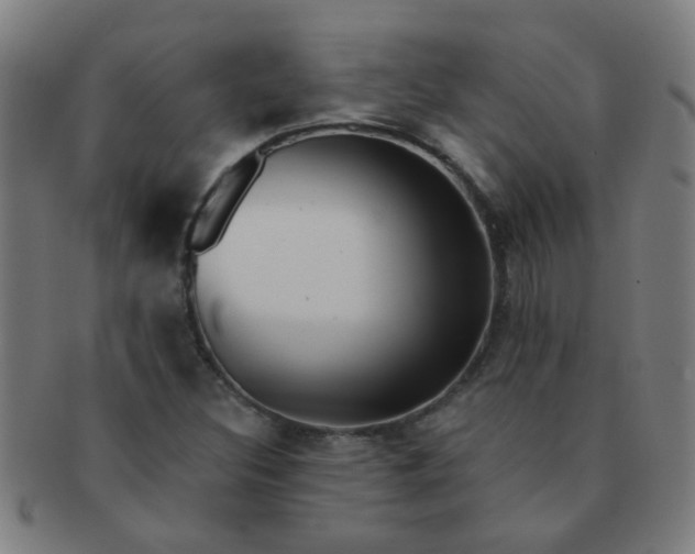 X0000091371308200708241324