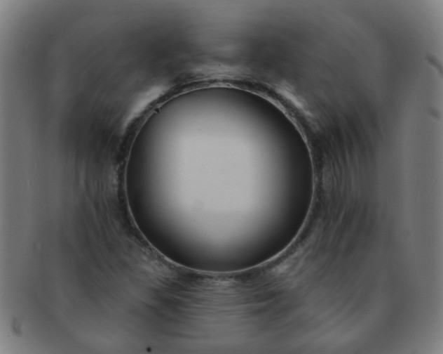 X0000091371309200708241324