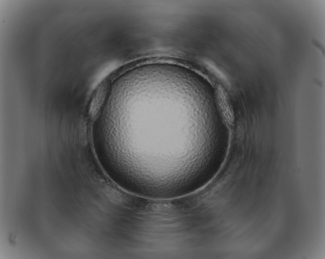 X0000091371310200708241324