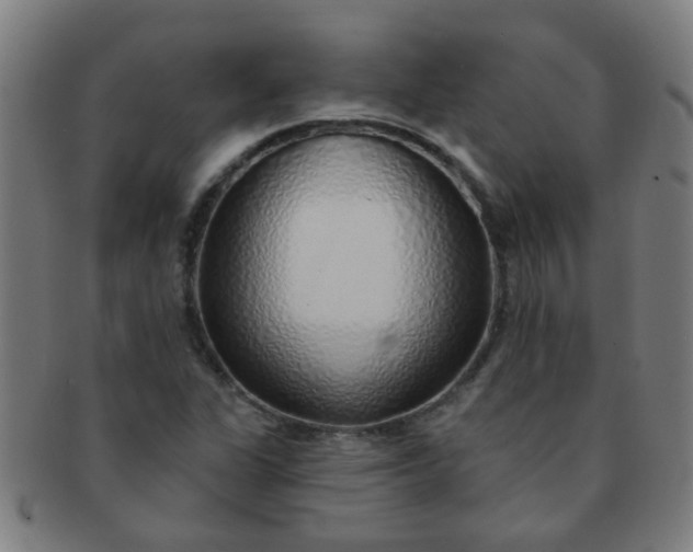 X0000091371311200708241324