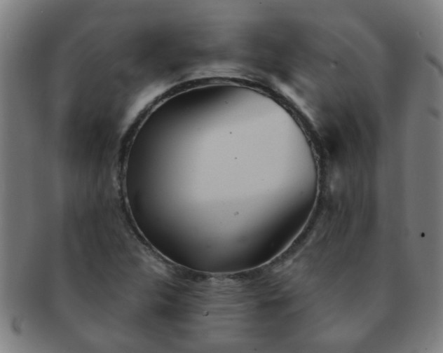 X0000091371312200708241324