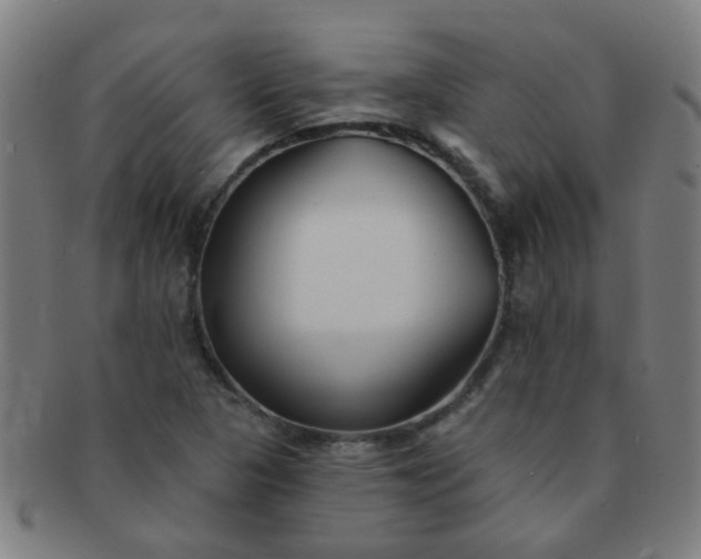 X0000091371313200708241324