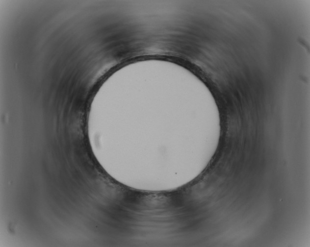 X0000091371314200708241324