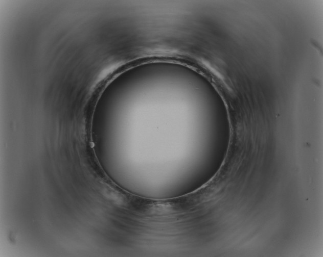 X0000091371315200708241324