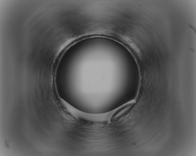 X0000091371316200708241324