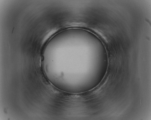 X0000091371317200708241324