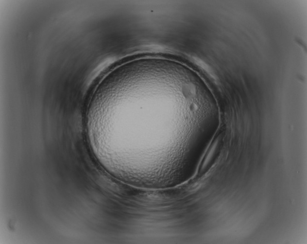 X0000091371318200708241324