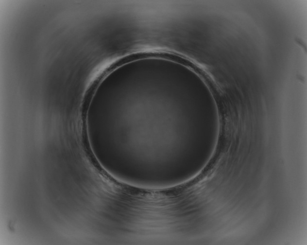 X0000091371319200708241324