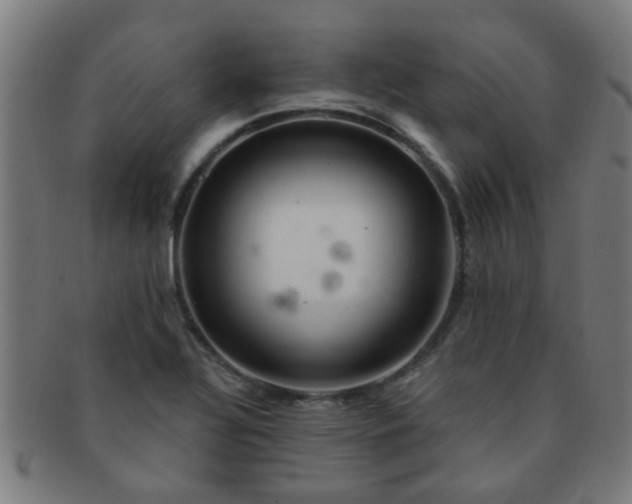 X0000091371320200708241324