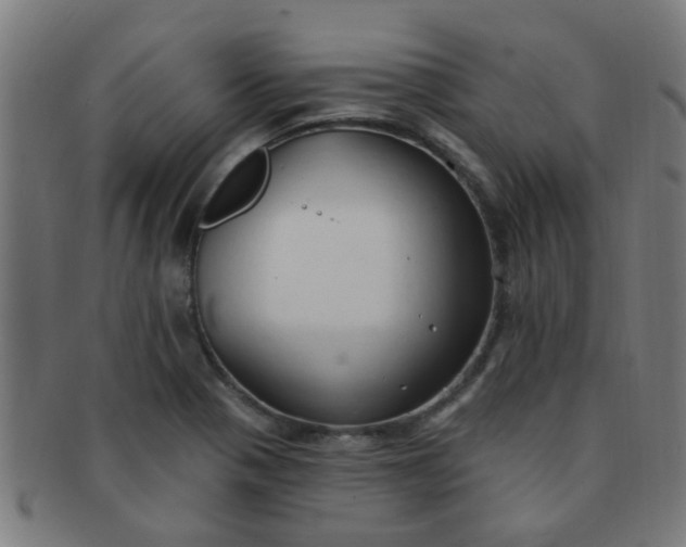 X0000091371321200708241324